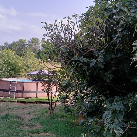 Villa Des Arnoux Dans La Vigne Draguignan Exterior foto